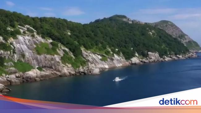 Mengintip Pulau Ular Misterius yang Terlarang Bagi Manusia