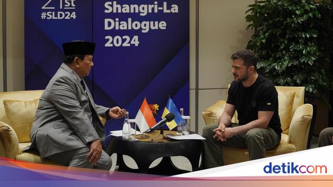 プラボウォ氏がシンガポールでウクライナ大統領と会談、何が話し合われたのか