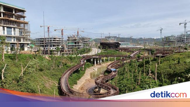 Satgas Sebut Pengerjaan Proyek di IKN Terhambat Hujan