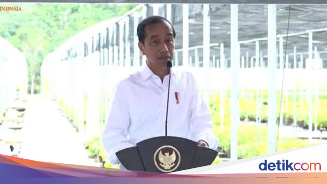 6 Facts About the Online Gambling Eradication Task Force Formed by Jokowi