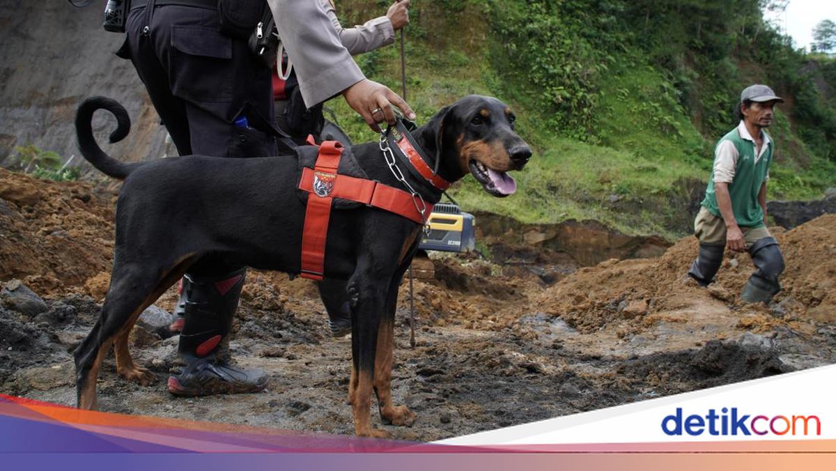 Bawa Anjing Pelacak, Polisi Sisir Lagi Lokasi Jasad Alvaro Dibuang di Tenjo