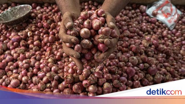 Terungkap Biang Kerok Harga Bawang Merah Anjlok