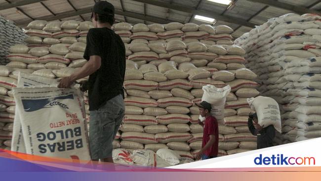Perubahan Iklim hingga Faktor Produksi Dinilai Jadi Alasan RI Impor Beras