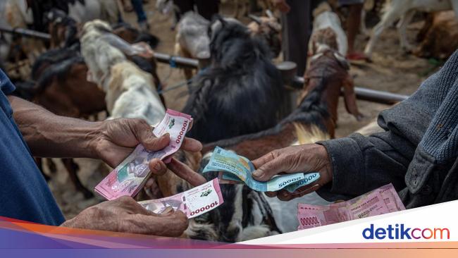 Daftar Harga Kambing Kurban 2025, Lengkap Mulai dari Rp 1 Jutaan