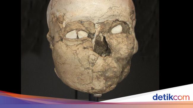 10 Tengkorak Kuno yang Punya Fakta Mengejutkan