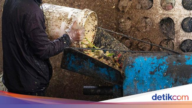 7 Cara Mengolah Sampah Organik Di Rumah Jadi Limbah Yang Bermanfaat