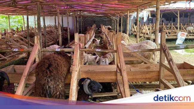 Warga Bandung Kini Bisa Cek Kesehatan Hewan Kurban Lewat Ponsel