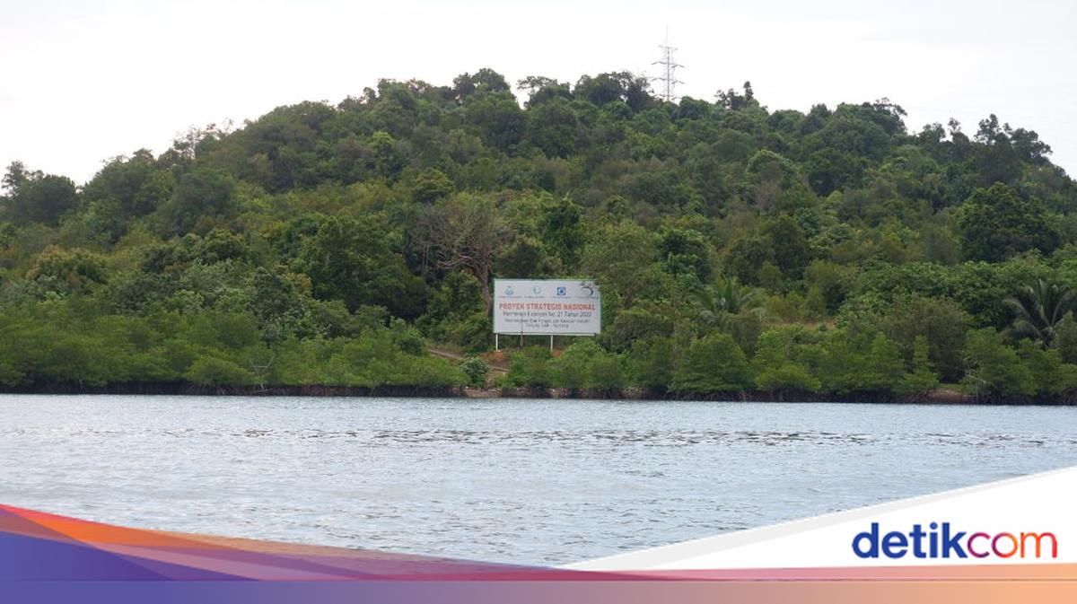 Belajar dari Tanjung Sauh, Pengelolaan KEK Itu Harus Seperti Mandalika