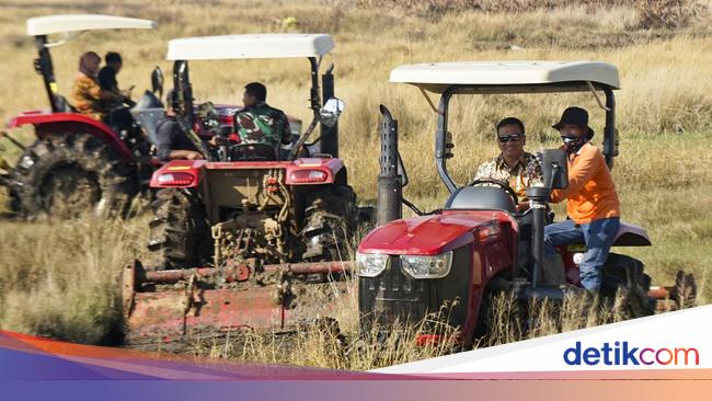 Prabowo Prioritaskan Swasembada Pangan dan Energi, Ini Kata Pengusaha