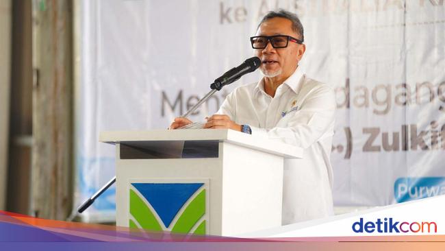 Profil Zulkifli Hasan, Menteri Koordinator Pangan Kabinet Merah Putih