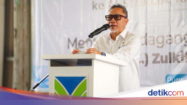 Zulhas Resmi Bentuk Satgas Impor Ilegal, Ini Anggota dan Tugasnya