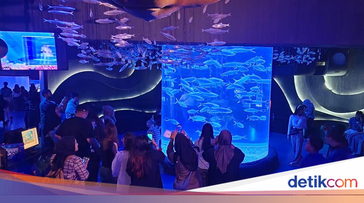Tiket Mulai Rp 150 Ribu, 2.000 Orang Padati Aquarium Mal Jakarta Ini ...