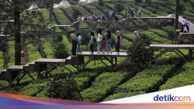 8 Hotel yang Dekat dengan View Kebun Teh di Puncak, Check It Out!