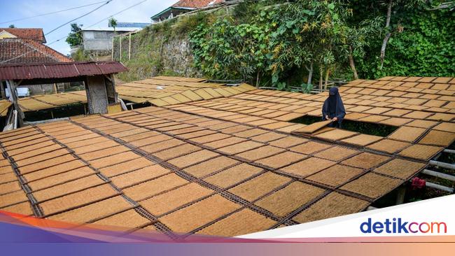 Petani Tembakau Duga Ada Pihak yang Intervensi PP Kesehatan
