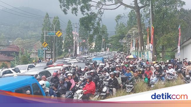 Animo Wisatawan ke Puncak Membeludak, padahal Bogor Tak Cuma Puncak