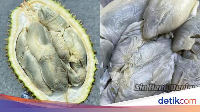 腐ったドリアンを渡されたと抗議する購入者、実は美味しいドリアンだった