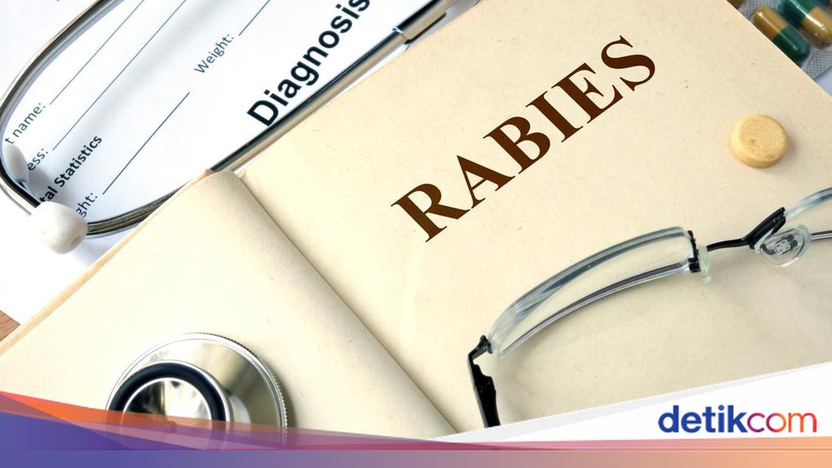 Gejala Rabies yang Perlu Diketahui