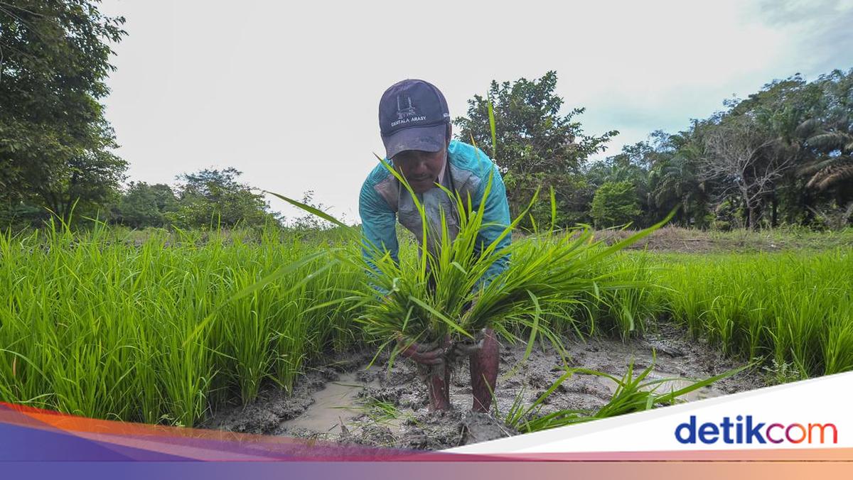 7 Kelompok Tani di Takalar Terima Bantuan 1,7 Ton Bibit Padi dan Jagung