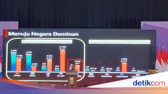 Cerita Mendagri Disindir Warga Singapura, RI Banyak Sawah tapi Krisis Beras