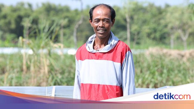 Cerita Paino, Sukses Jadi Petani Tembakau Hingga Kuliahkan Anak