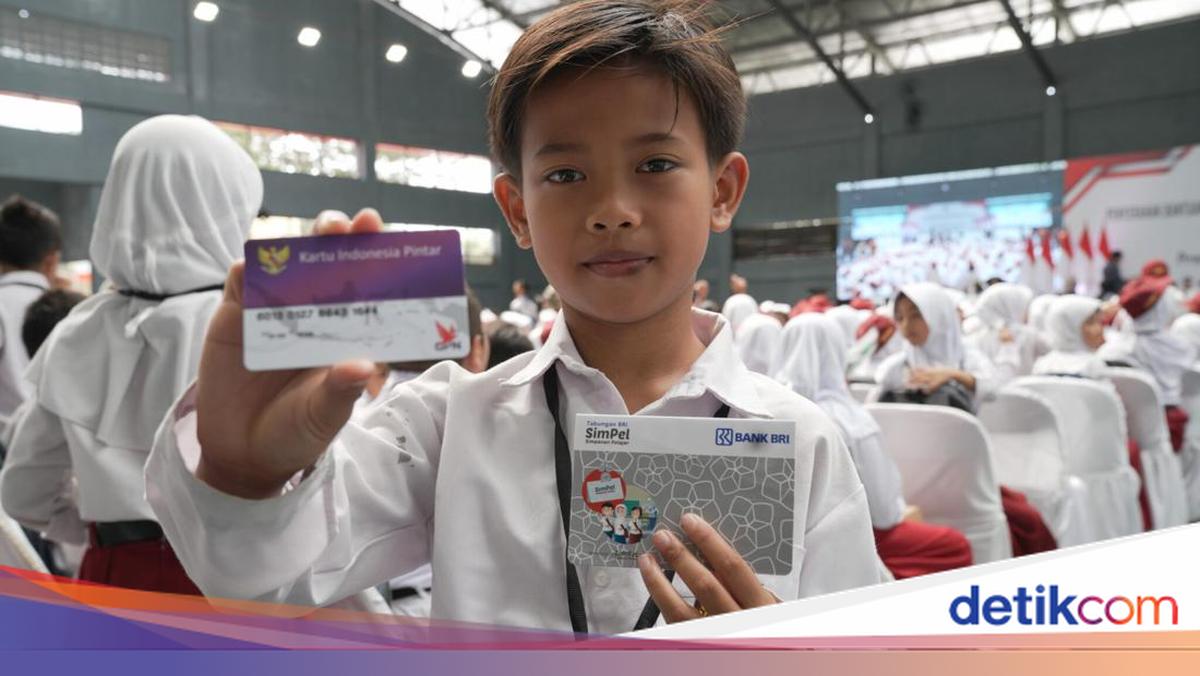 Cara Cek Status Penerima PIP 2025 Secara Online