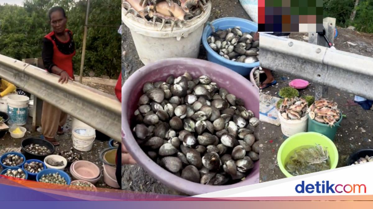 Api Atiqa Heboh! Seafood Pinggir Jalan Dijual Murah agar Cepat Laris