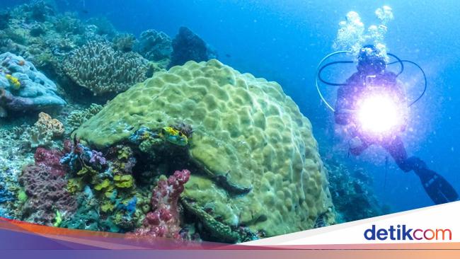 Ancaman Mengerikan Tambang Nikel di Raja Ampat