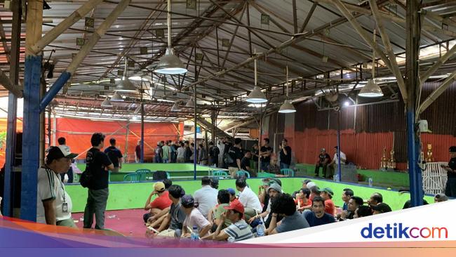 Polisi Gerebek Arena Judi Sabung Ayam di Bekasi, 70 Orang Diamankan
