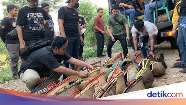 Penyelenggara Judi Sabung Ayam di Bekasi Pajang Piala untuk Kamuflase