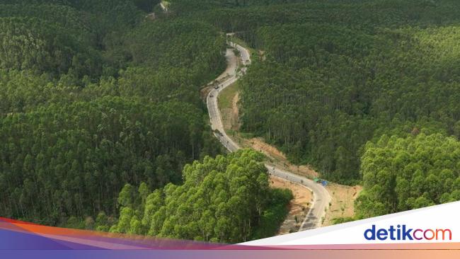 PUPR Buka Suara soal PBNU yang Mau Beli Lahan 100 Ha di IKN