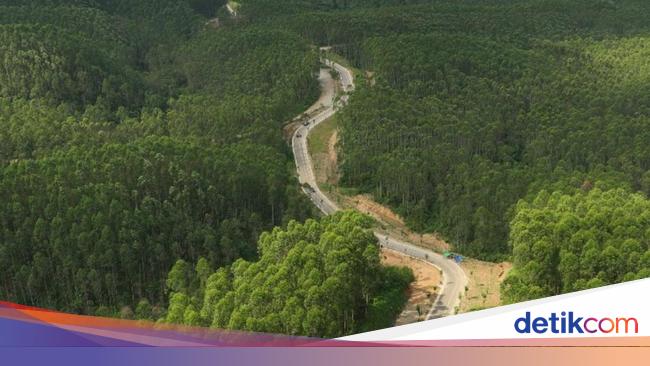 PUPR Buka Suara soal PBNU yang Mau Beli Lahan 100 Ha di IKN