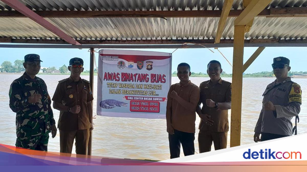 5 Banner Waspada Buaya Dipasang di Kecamatan Gandus Palembang