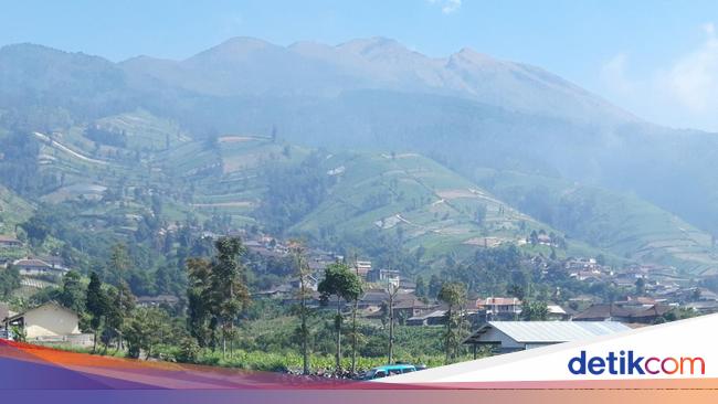 Viral Area Kemping Gunung Merbabu Dikapling-kapling, Open Trip Membantahnya