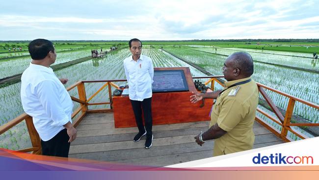 Begini Simulasi Penyebaran Pupuk Pakai Drone di Merauke yang Ditinjau Jokowi