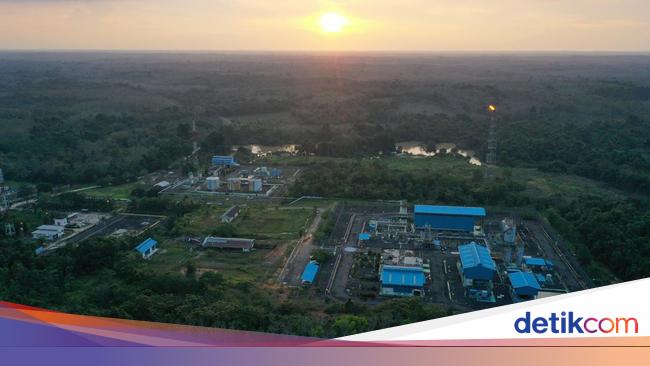 Hulu Migas Bantu Pertumbuhan UMKM, Nilainya Capai Rp 33 T