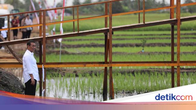 Mentan Amran Targetkan RI Swasembada Pangan 3 Tahun ke Depan
