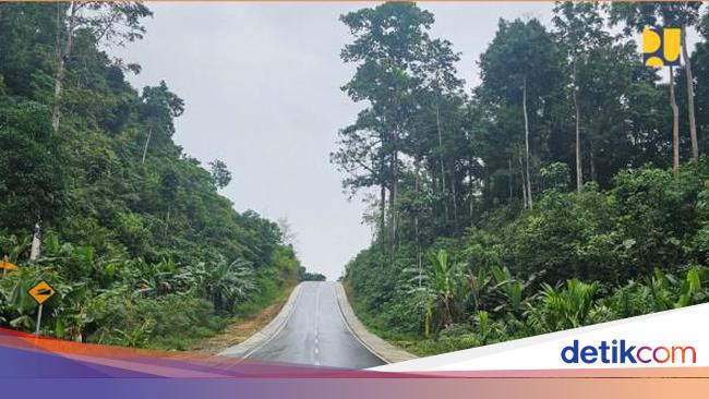 4 Ruas Jalan di Papua Rp 134 M Rampung, Anak-Anak Lebih Mudah ke Sekolah