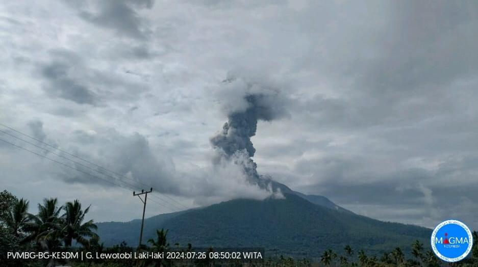 Gunung Lewotobi Laki-laki Meletus, Kolom Abu Capai 800 Meter