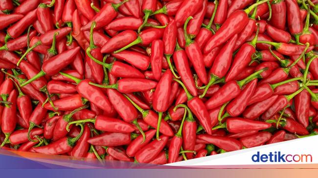 Harga Cabai Merah di Sumut Makin Melambung gegara Curah Hujan Tinggi