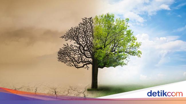 Manusia, Akal, dan Bias Antroposentris