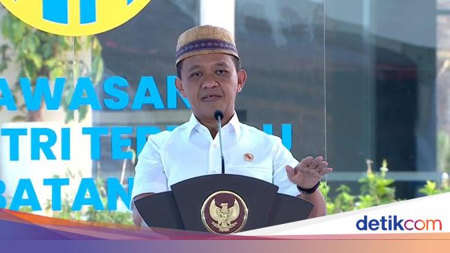 Bocoran Rencana LG Bangun Pabrik Katoda di Batang