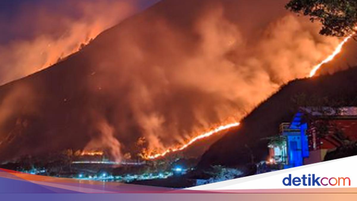 Bukit di Danau Toba Terbakar!