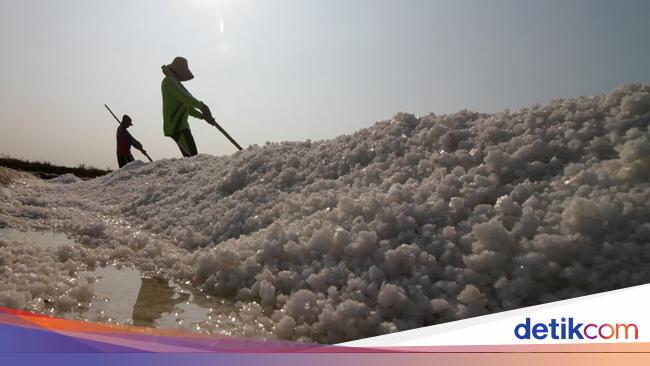 NTT Bakal Punya Tambak Garam Raksasa, Serap 25 Ribu Lebih Tenaga Kerja