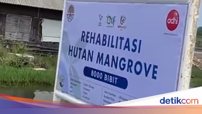 Komitmen ESG! Adhi Karya Rutin Tanam Pohon Mangrove
