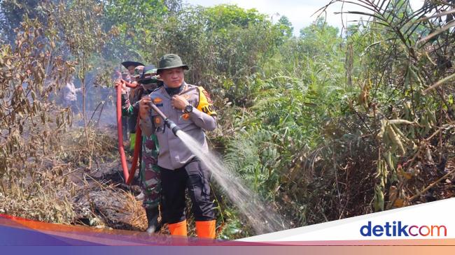39 Ha Lahan Terbakar di Rohil Dipadamkan, 2 Pelaku Ditangkap