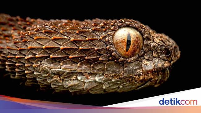 アフリカのスカイ島の謎