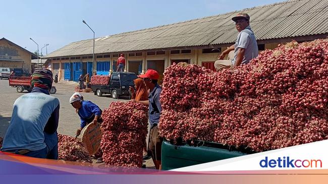 Harga Bawang Merah Terjun Bebas, Ternyata Ini Biang Keroknya