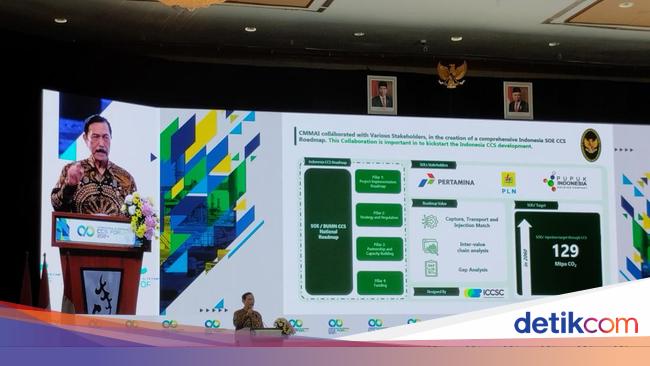 Luhut Rayu UEA Bangun Pabrik Aluminium di Kalimantan Utara