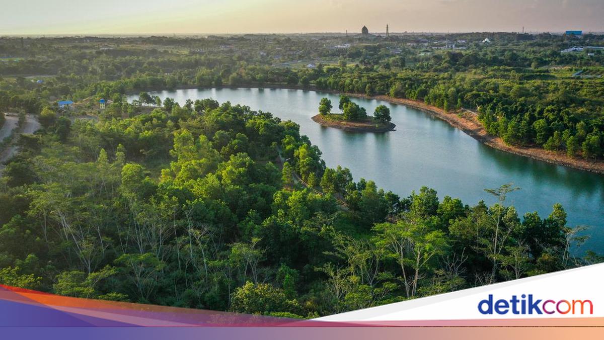 Hari Tropis Internasional Diperingati 29 Juni 2026, Apa Itu?