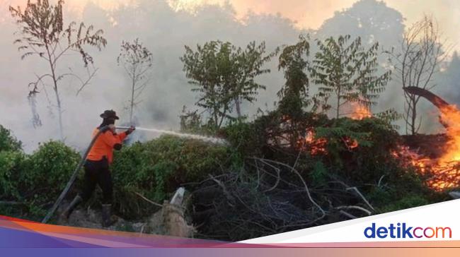 Karhutla di Muara Medak Muba Belum Padam, Penyekatan Dilakukan